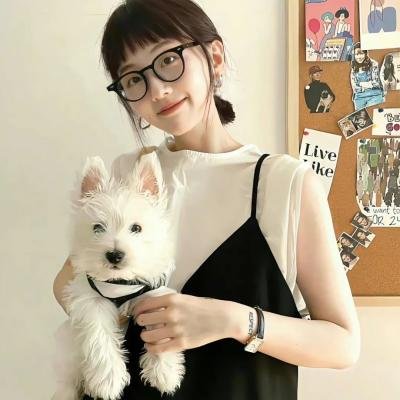 纽约王